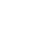 SaveIcon.png