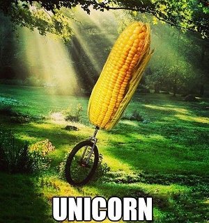 unicorn.jpg